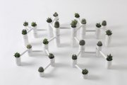Ferma- систему для выращивания кактусов и других небольших растений, Александр Каныгин